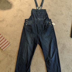 Free People Ziggy Denim Overalls (M)